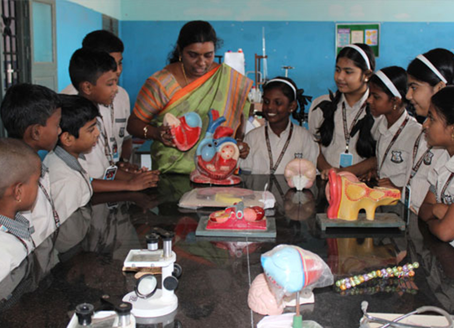 class image